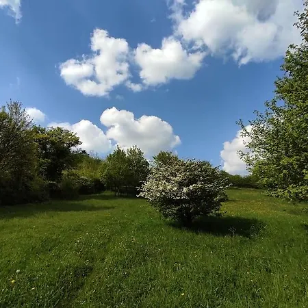 Appartement Gemuetliche Mit Kamin - Sunny Hill Echternacherbruck