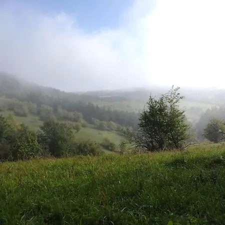 Gemuetliche Mit Kamin - Sunny Hill شقة *