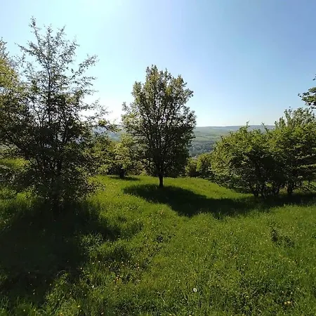 Apartment Gemuetliche Mit Kamin - Sunny Hill