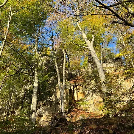 Апартаменты Gemuetliche Mit Kamin - Sunny Hill Echternacherbruck