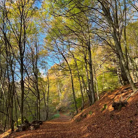 Apartamento Gemuetliche Mit Kamin - Sunny Hill *