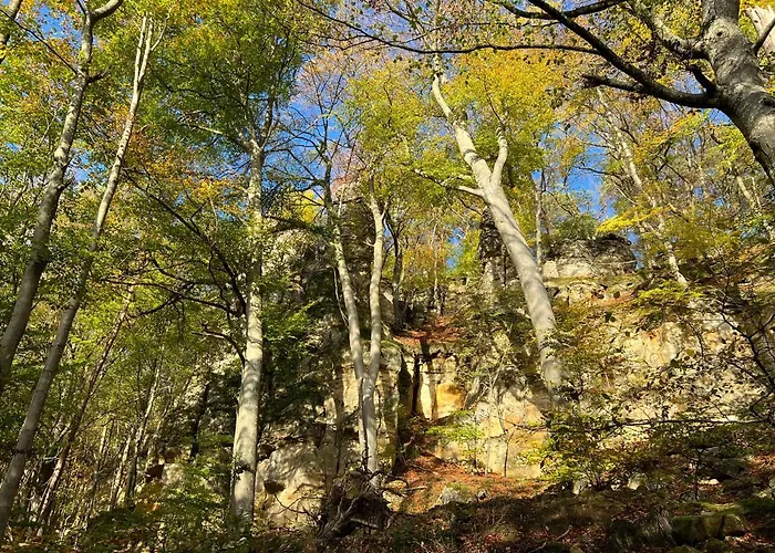 Апартаменты Gemuetliche Mit Kamin - Sunny Hill Echternacherbruck