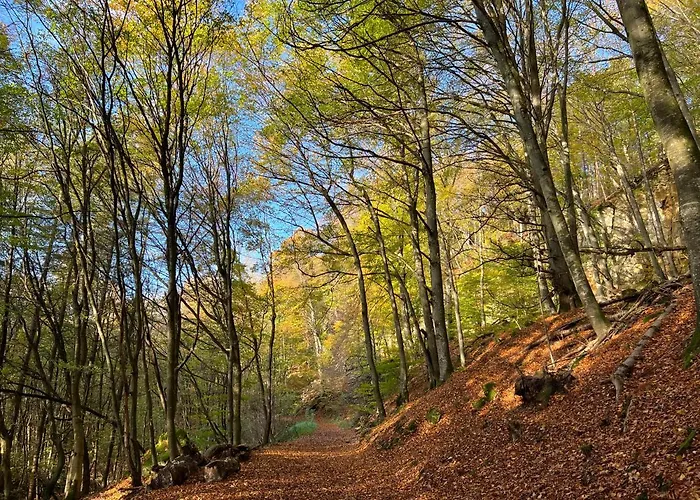 Апартаменты Gemuetliche Mit Kamin - Sunny Hill *